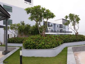 san-vuon-tang-28-the-two-residence