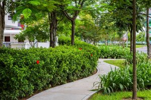 Không gian xanh tại gamuda gardens