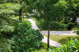 Không gian xanh trong khu đô thị Gamuda Gardens