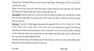 cam-let-chu-dau-tu-gamuda-land-viet-nam