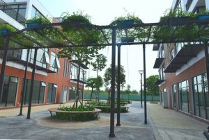 khu-nha-pho-thuong-mai