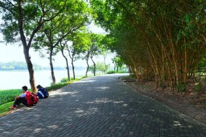 loi-di-bo-cong-vien-yen-so