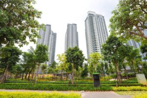 Sống xanh The Zen Residence