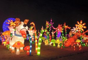 gamuda-city-le-hoi-den-long