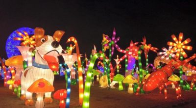 gamuda-city-le-hoi-den-long