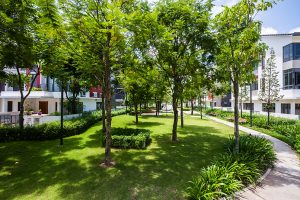 Không gian xanh đáng giá trong khu biệt thự liền kề Gamuda