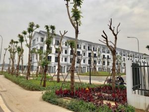 Bàn giao liền kề Dahlia Homes