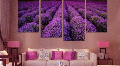 lien-ke-st5-mang-mau-sac-hoa-oai-huong