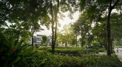 Không gian xanh biệt thự liền kề gamuda