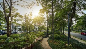 không gian xanh biệt thự gamuda