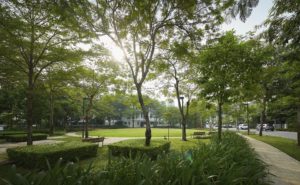 Không gian xanh khu biệt thự song lập gamuda