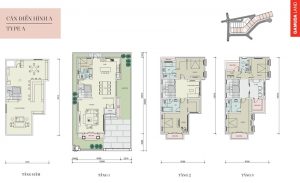 Thiết kế biệt thự đơn lập cẩm chướng gamuda