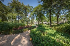 khong-gian-song-xanh-gamuda-garden