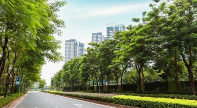 Chung cư xanh Hà Nội