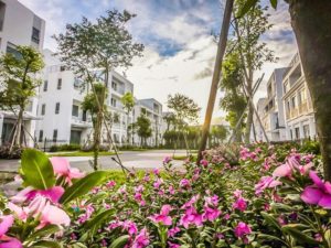 Biệt thự the manor central park