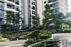 sân vườn chung cư the zen