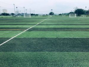 Chất lượng cỏ sân bóng Huy Hoàng Gamuda