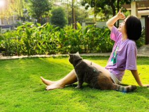 Khoảnh khắc Gamuda Gardens